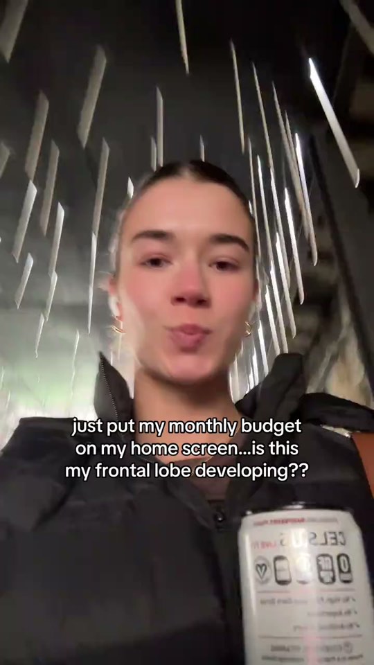 Opening frame: just put my monthly budget on my home screen…is this my frontal lobe developing?