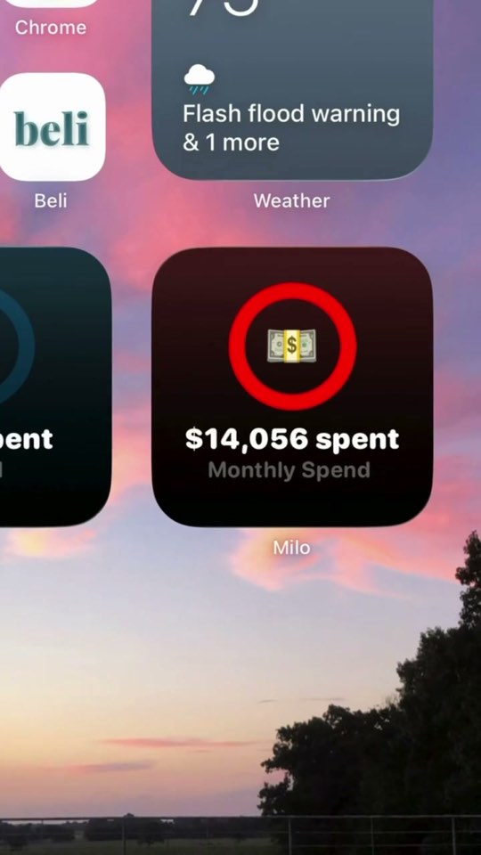 Closing frame: Cuts to a phone home screen where a widget shows the month’s total spend.